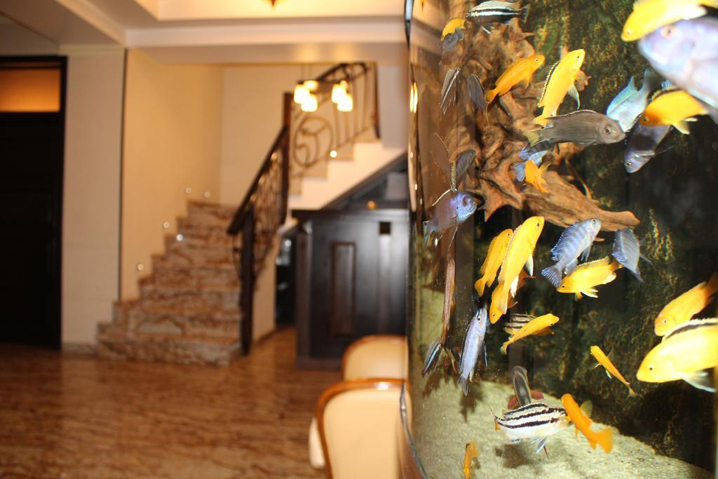 Hotel Anna Junior Тыргу-Жиу Экстерьер фото